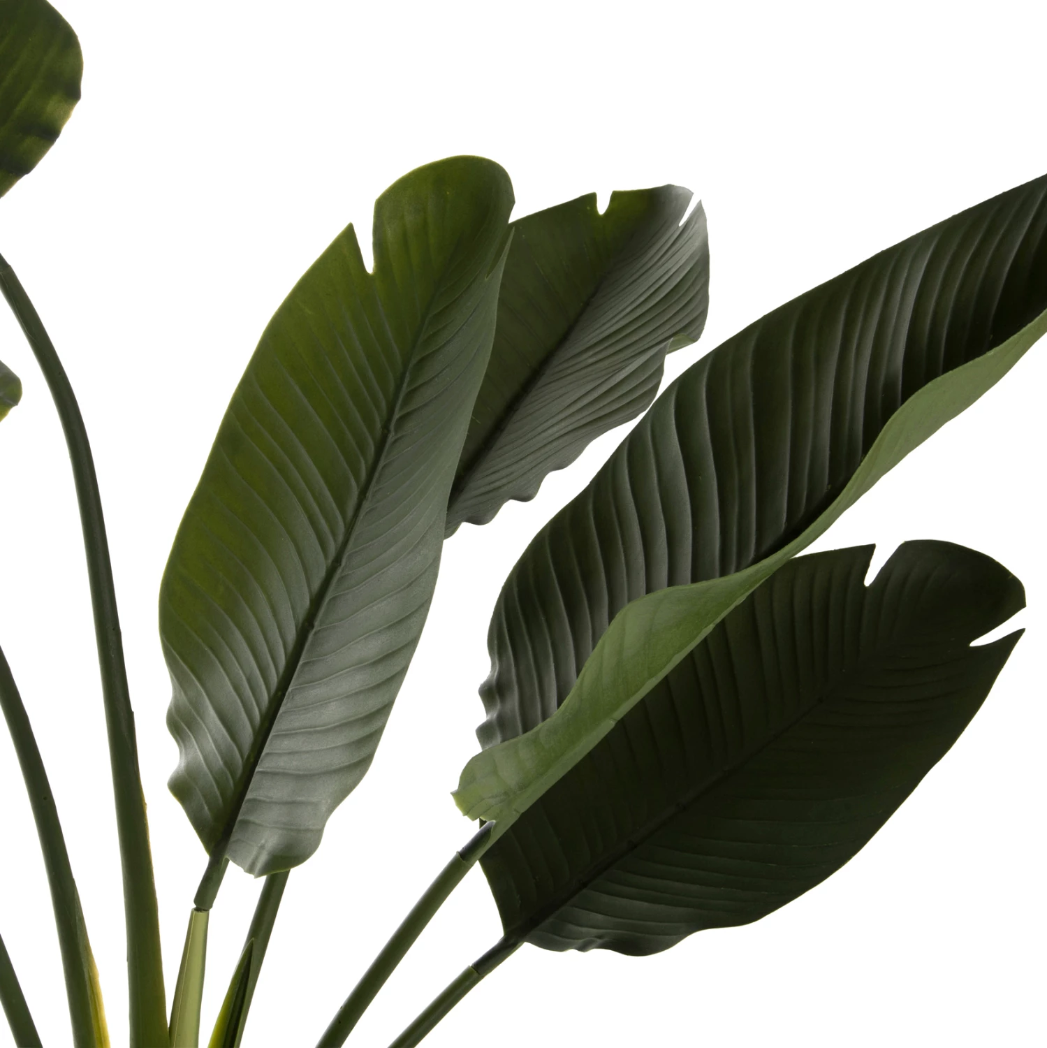 Bimë sintetike dekorative në vazo, FH7981, Strelitziaceae, Φ17x14,5-137Hcm