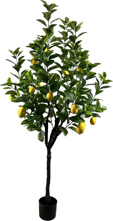 Bimë dekorative limoni në vazo, ngjyrë e gjelbër, 180cm