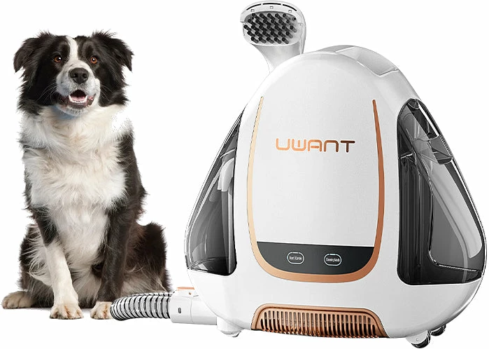 Fshesë për pastrim të thellë (spot cleaner) Uwant B100-S, 450W, 12 kPa, depo ujit 1.8L/1.6L, kabllo 5m, e bardhë/gri