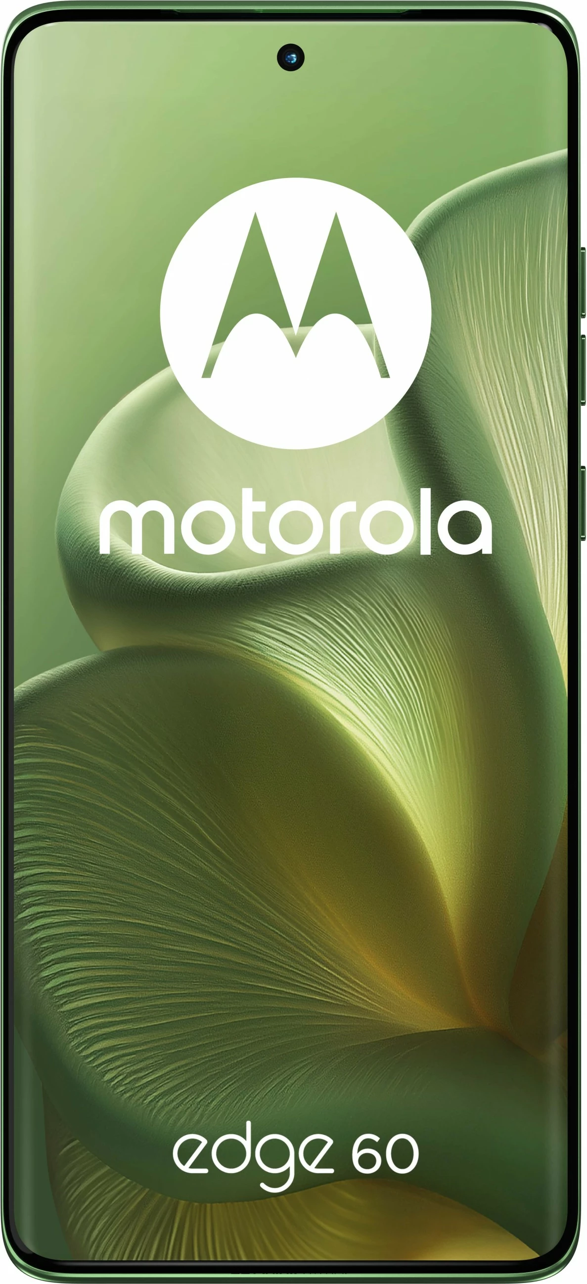 Celular Motorola Edge 60 5G 256GB gjelbër
