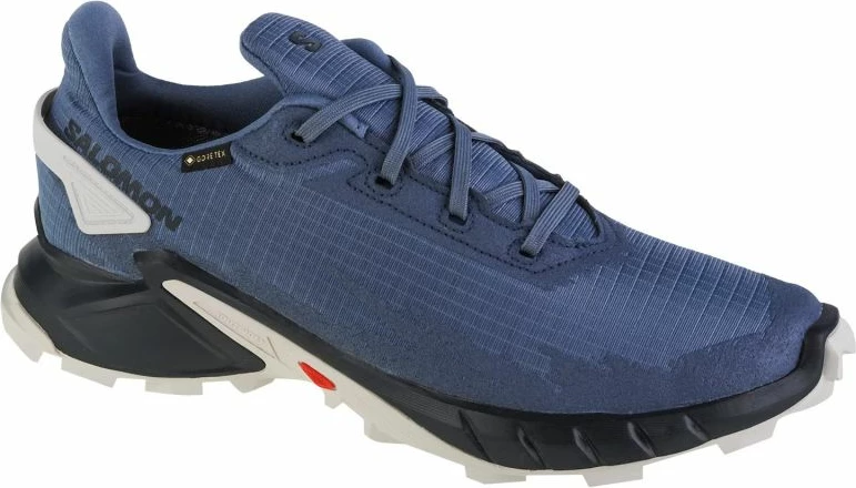 Atlete për vrapim për meshkuj Salomon Alphacross 4 GTX, gri