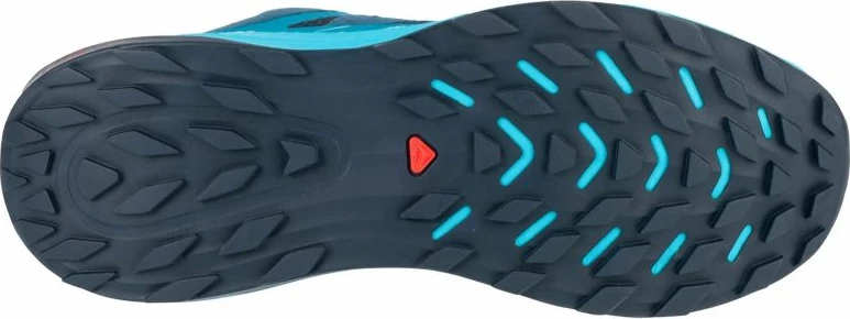 Atlete për meshkuj Salomon, të kaltra