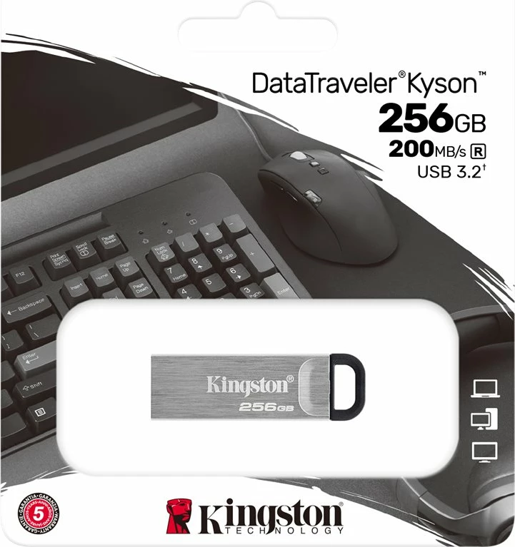 USB Kingston DataTraveler Kyson 256GB, USB 3.2, Argjend