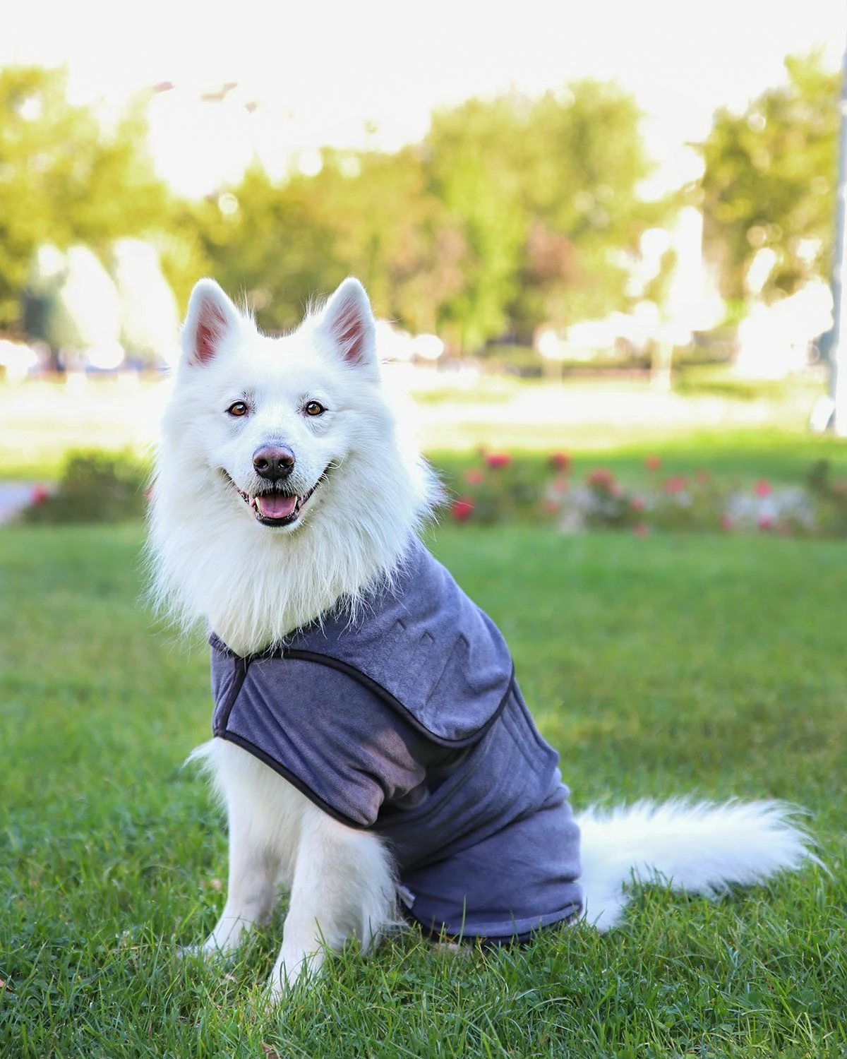 Rrobë banje për qen, ngjyrë gri, Paws & Whiskers, Drygown, madhësia M