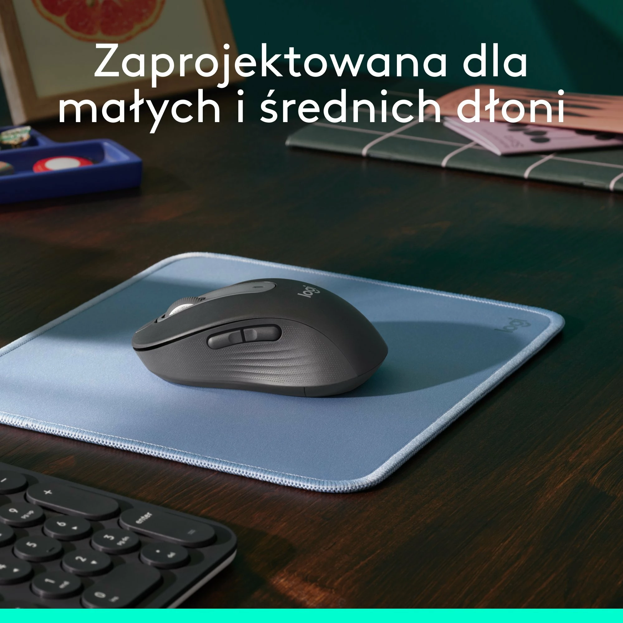 Maus Logitech Signature M650 (910-006253) 4000 DPI wireless Graphite