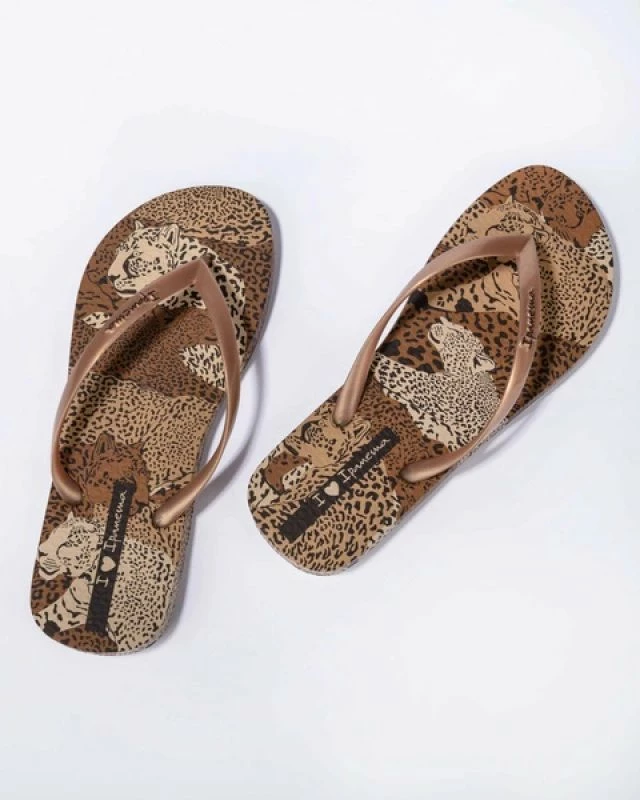 Papuqe për femra Ipanema, kafe