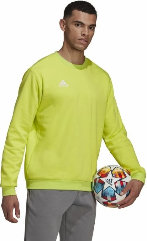 Duks për meshkuj adidas, jeshil
