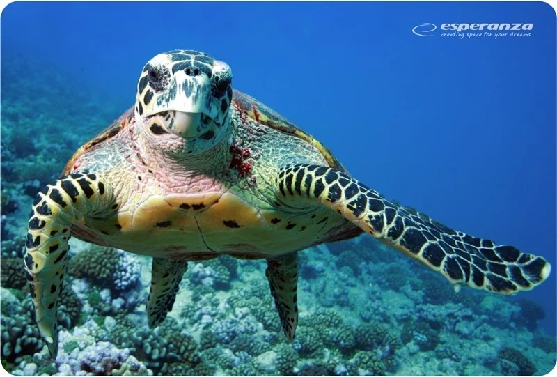 Mauspad Esperanza EA133