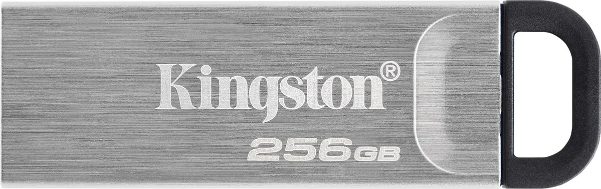 USB Flash Kingston DataTraveler 256GB Kyson, Argjendtë