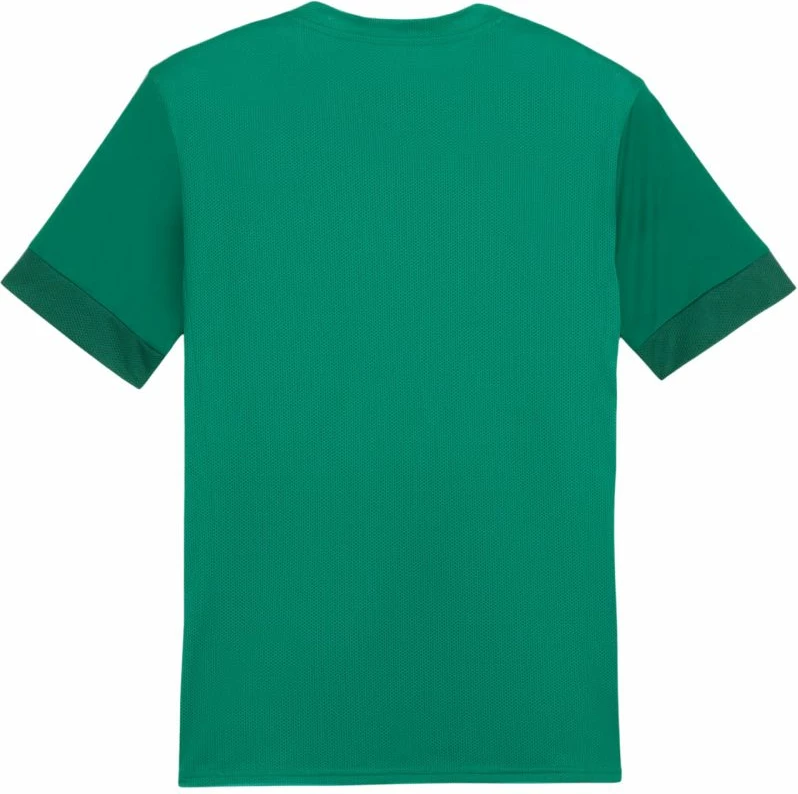 Fanellë për meshkuj Puma, e gjelbër