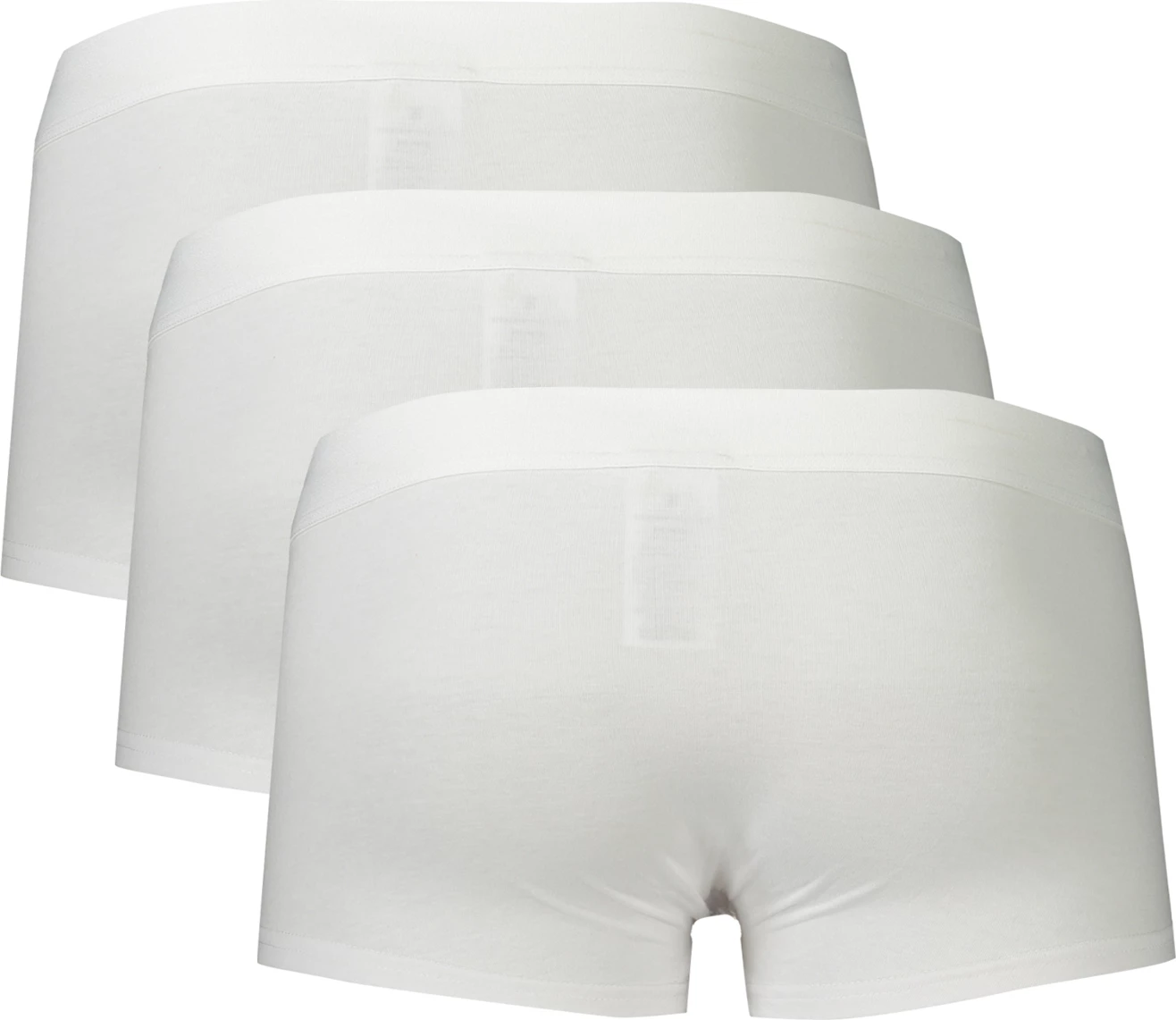 Të brendshme për meshkuj BIKKEMBERGS, të bardha