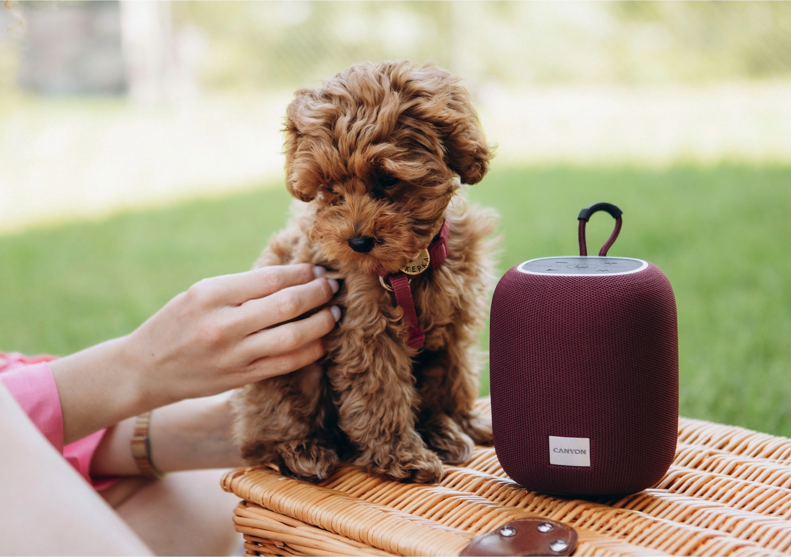 Altoparlant portativ Canyon BSP-8, 10W, Bluetooth, USB Type-C, burgundy