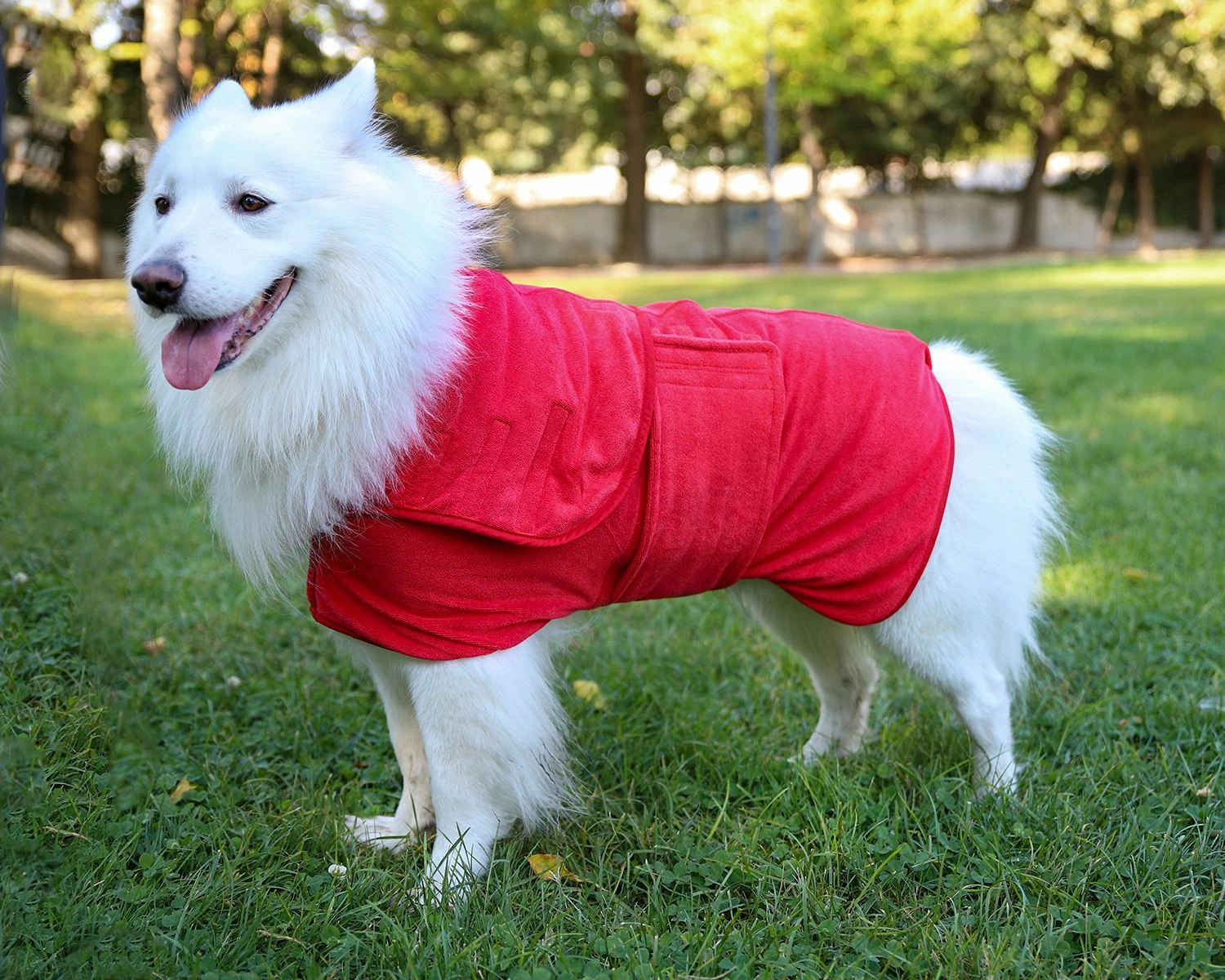 Rrobdeshamber për qen, ngjyrë e kuqe, Paws & Whiskers, Drygown