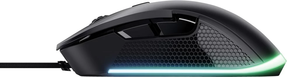 Maus Trust GXT 922 YBAR, i zi