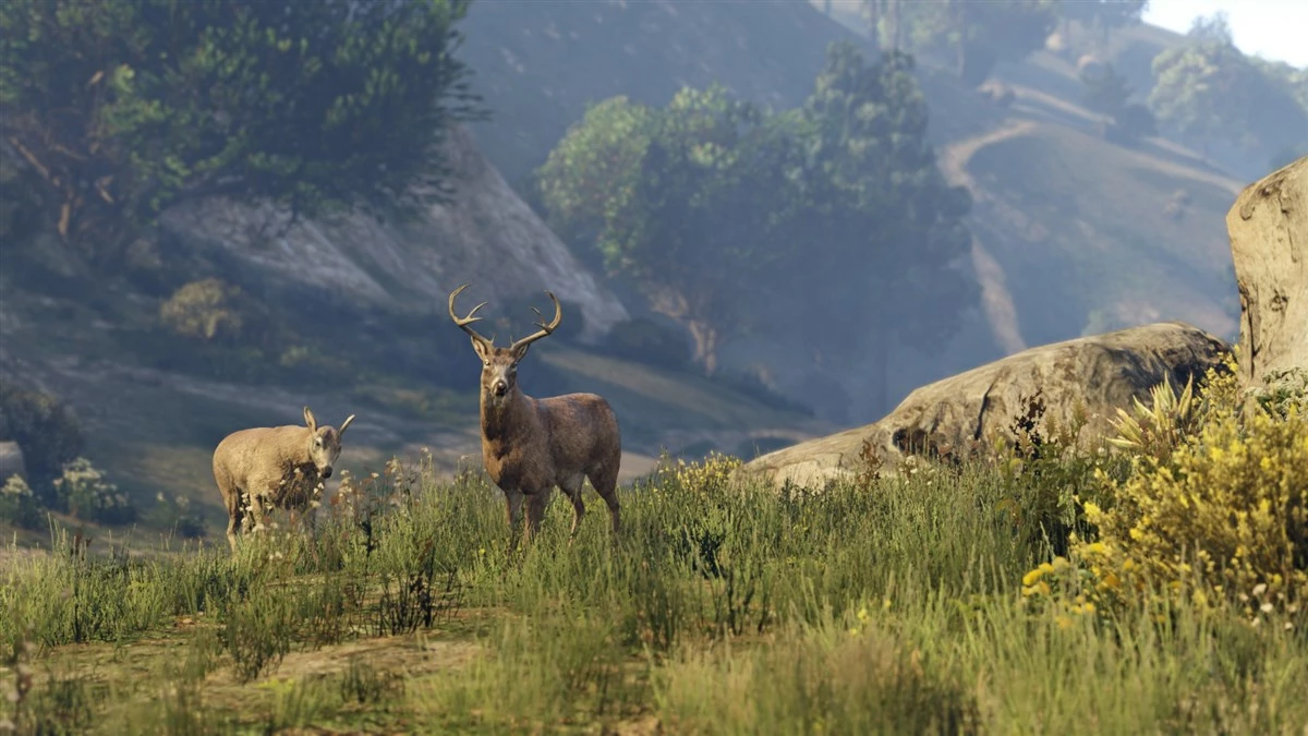 Lojë për Xbox Series X Rockstar Games Grand Theft Auto V (GTA V) + GTA Online