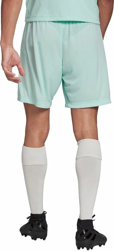 Shorce për meshkuj Adidas Entrada 22, të kaltër