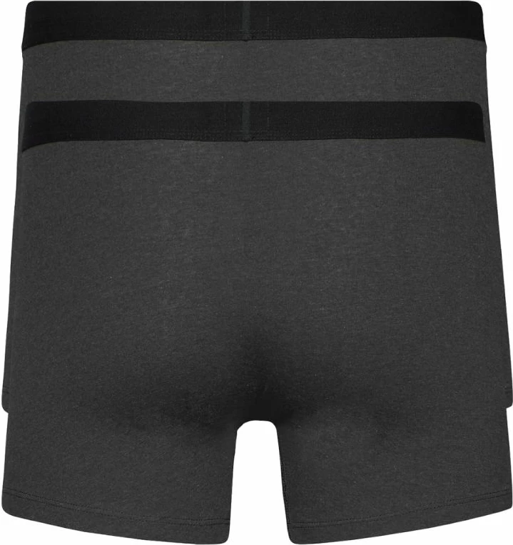 Të brendshme për meshkuj Levi's, gri