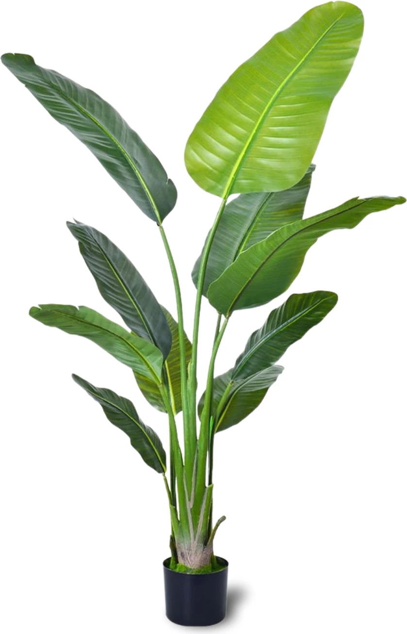 Bimë artificiale Travellers‘ Palm, 120 cm