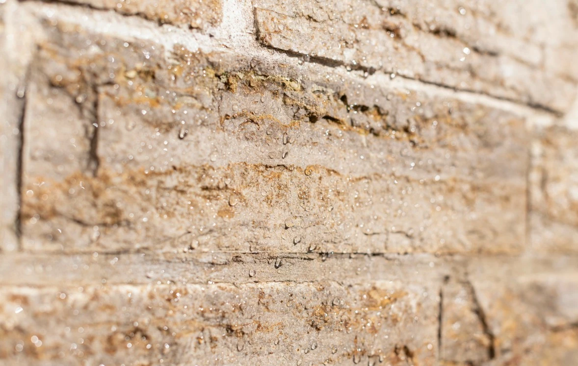 Impregnat për sipërfaqe të jashtme Karcher RM 542, 1L