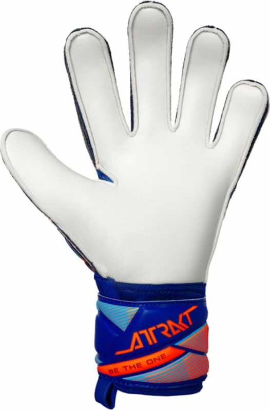 Doreza portieri Reusch Attrakt Solid 56 70 515 4129