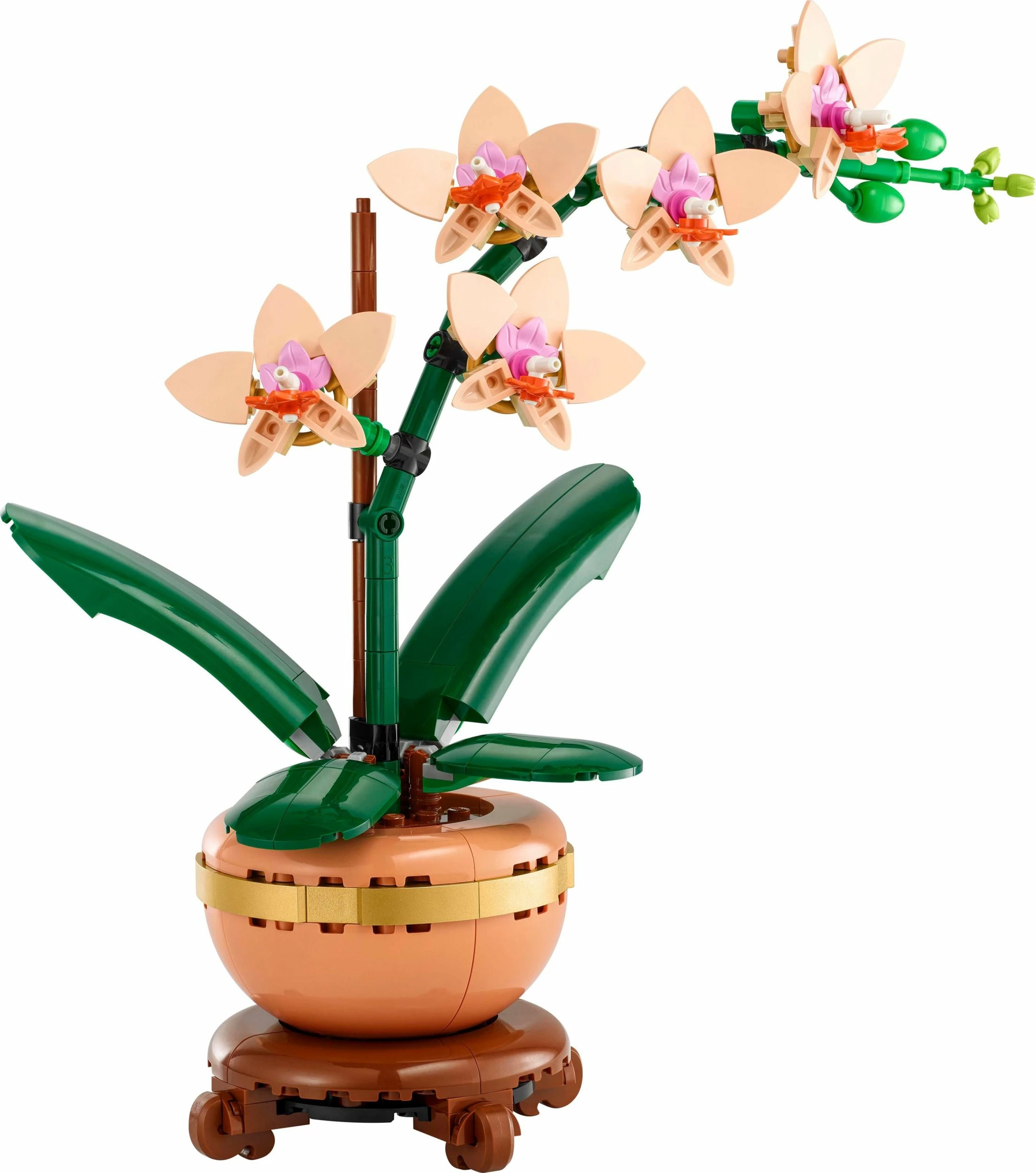 Set ndërtimi LEGO Botanicals Orkide e vogël 10343, 274 copë, 25 cm, 18+, pjeshke