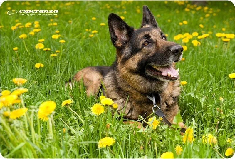 Mauspad Esperanza EA133