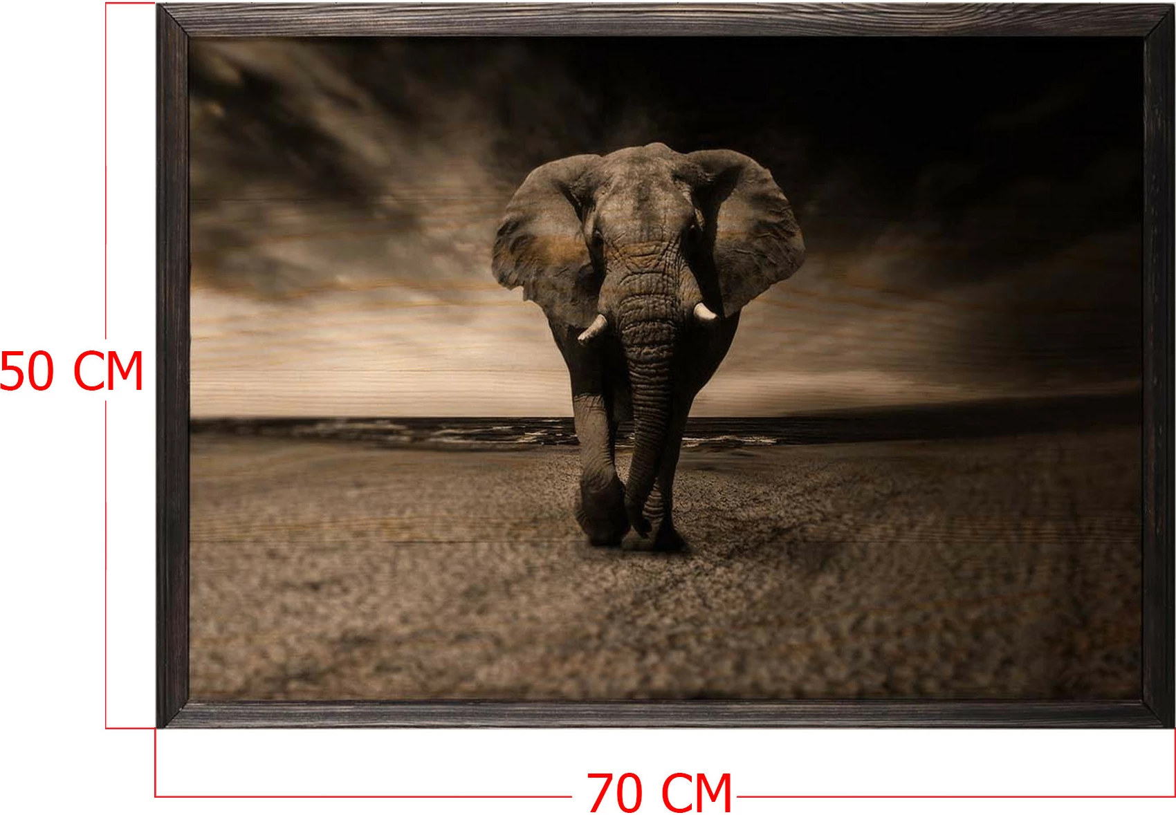 Pikturë dekorative me kornizë druri, elefant i fuqishëm, XL