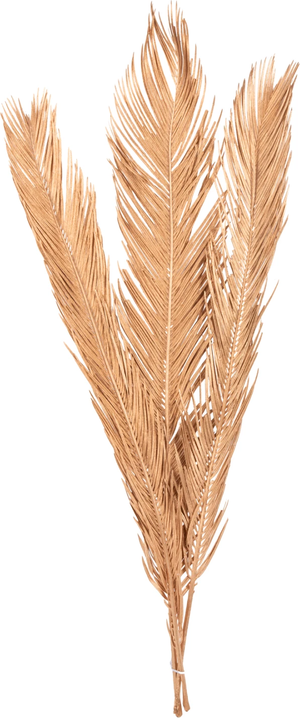 Set dekorativ me 3 gjethe të thara palme, ngjyrë ari, FH7958, 110H cm