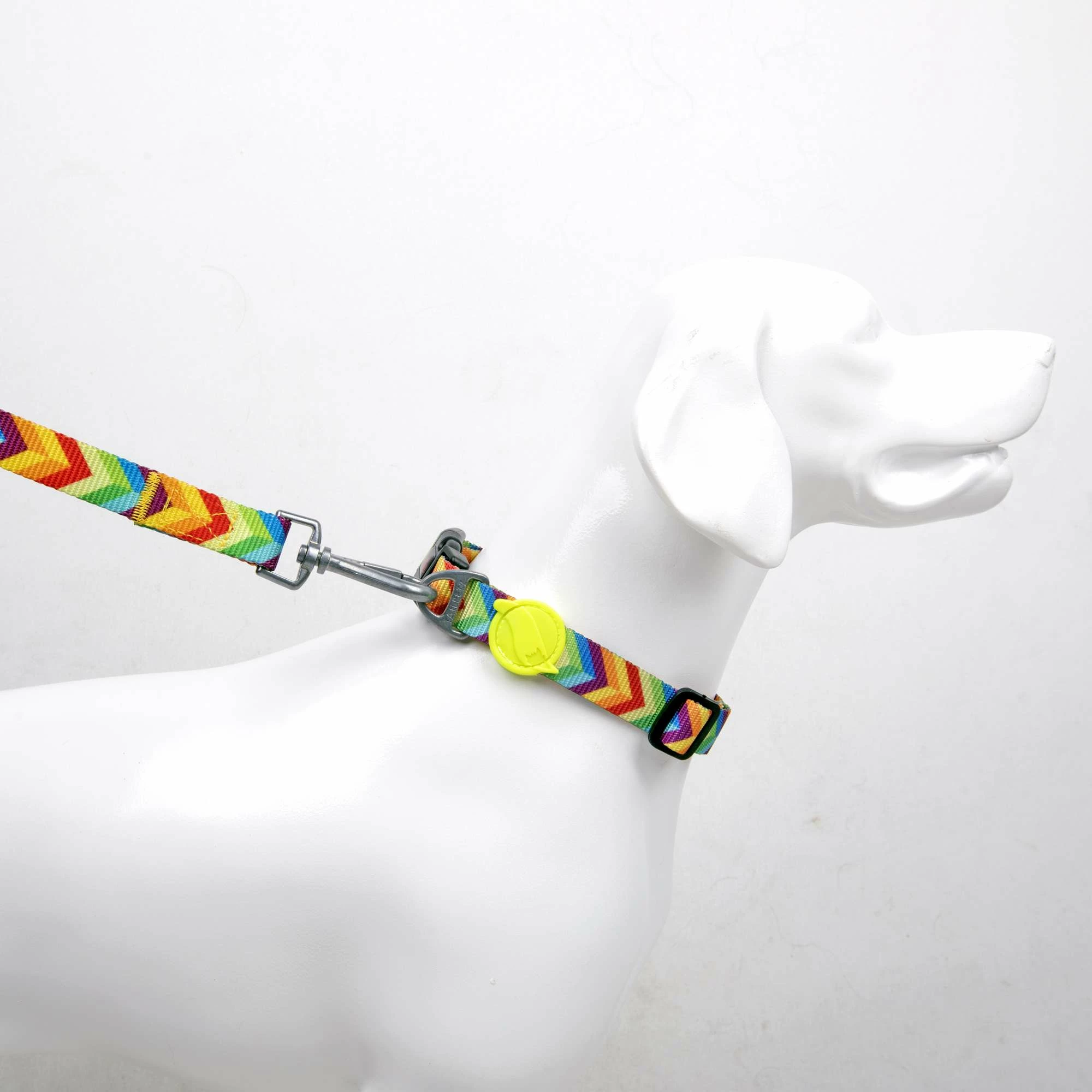 Qafore për qen, shumëngjyrëshe, Paws & Whiskers, Rainbow