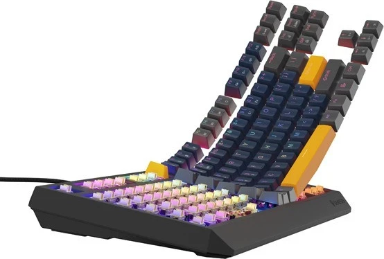 Tastaturë mekanike Genesis Thor 230 TKL, RGB, Outemu Panda, Naval Blue