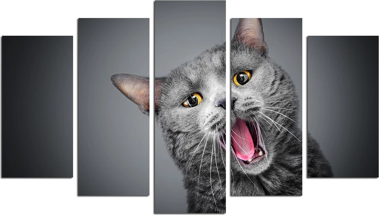 Pikturë dekorative MDF, 5 pjesë, Wallity, 5DMDF-49