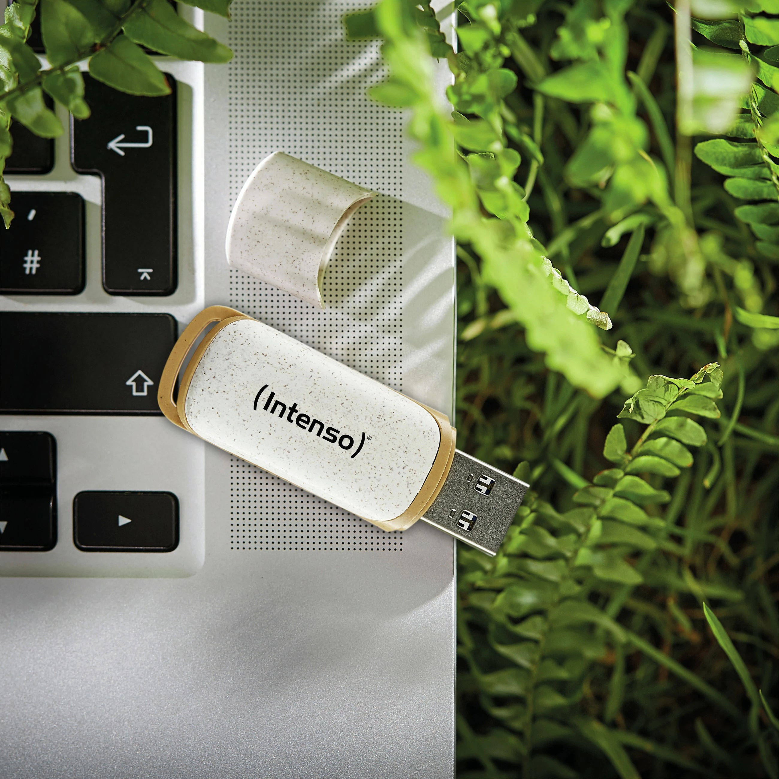 USB stick Intenso Green Line 128GB, USB-A 3.2 Gen 1, bezhë/kafe