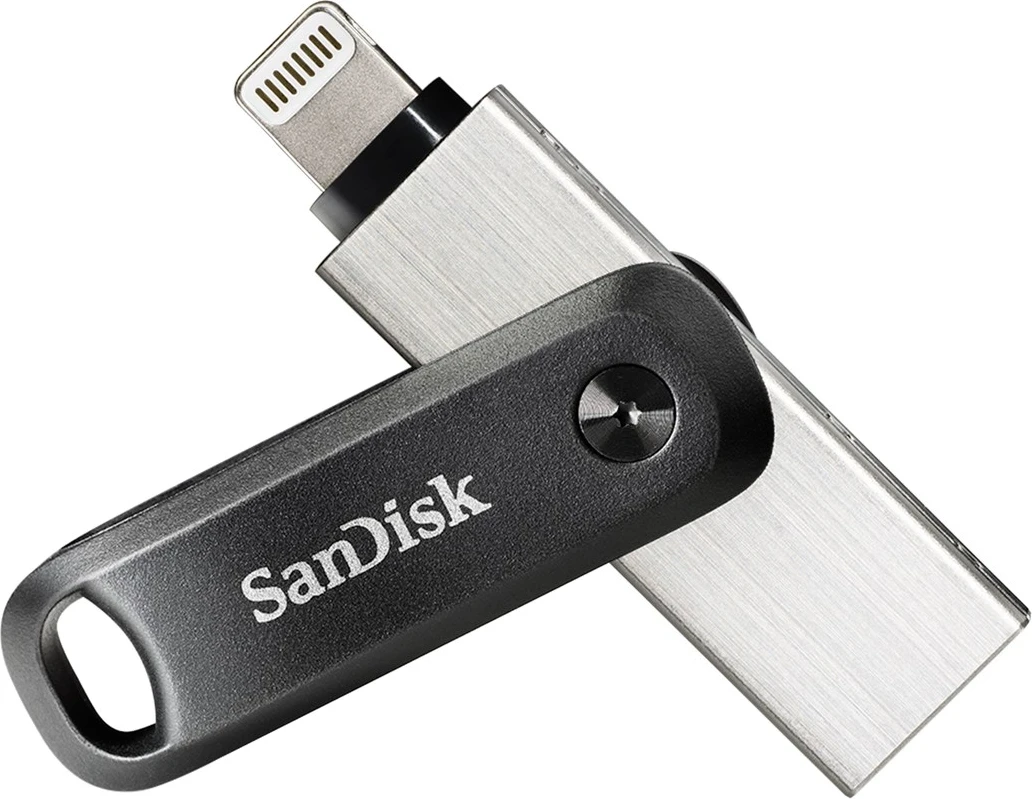 USB Flash SanDisk 256GB, Gri dhe Argjendtë