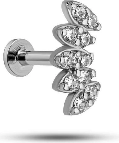 Vath argjendi, Jumeon, NRZ1000083