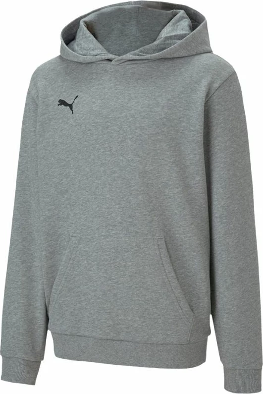 Duks për fëmijë Puma teamGOAL 23 Casuals Hoody Jr, gri