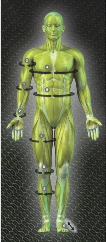 Bandazh kompresimi për kofshë Select T26-09905, për meshkuj dhe femra