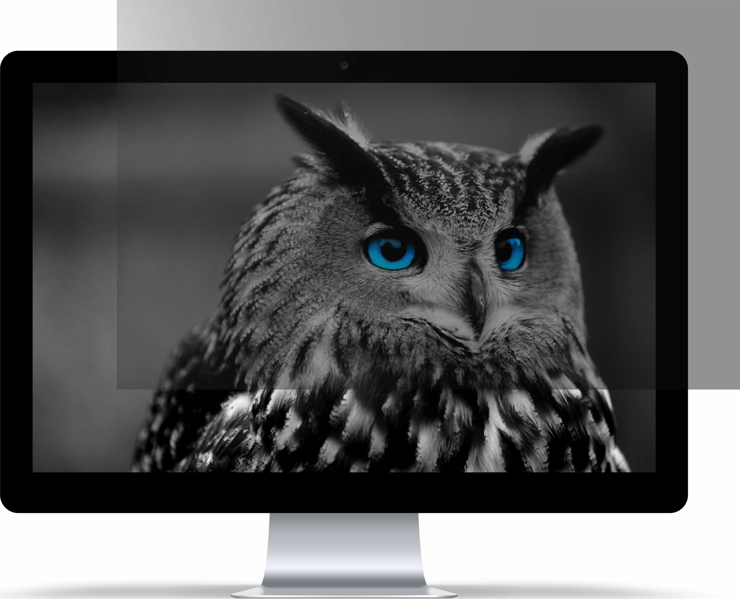 Filter privatësie për ekran Natec OWL NFP-2288 17.3\" 16:9