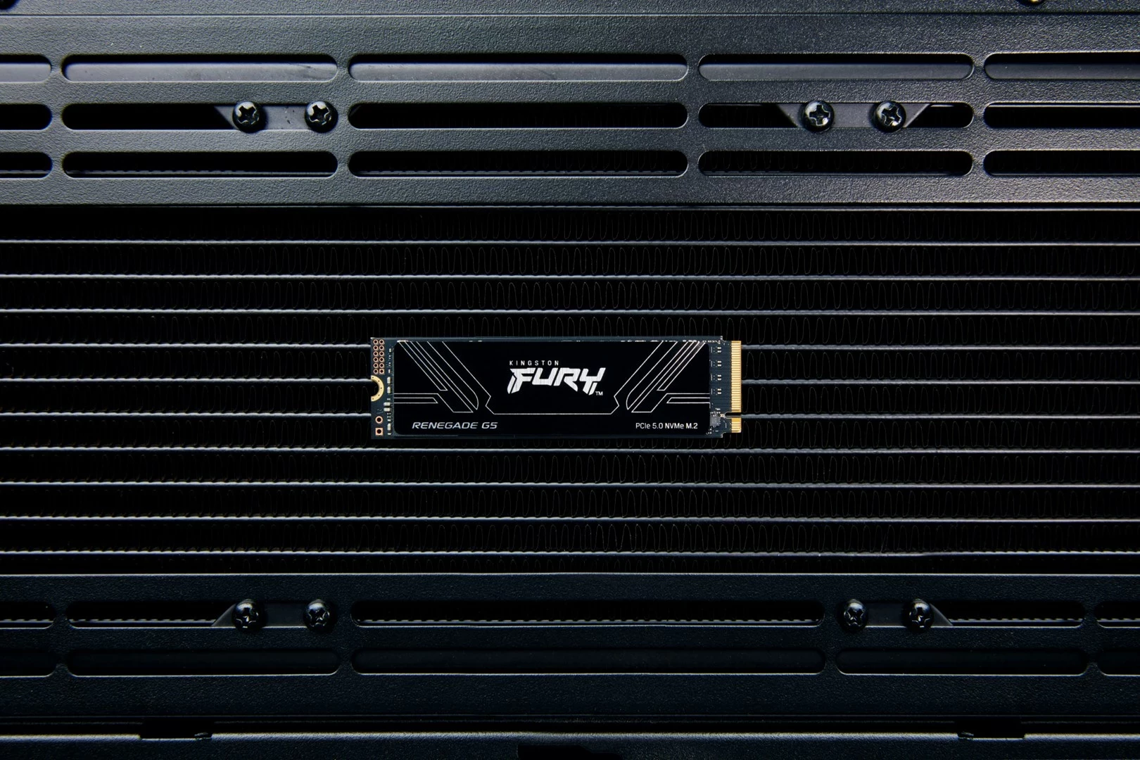 SSD Kingston FURY RENEGADE G5 1TB M.2 2280 PCIe 5.0 NVMe, i zi