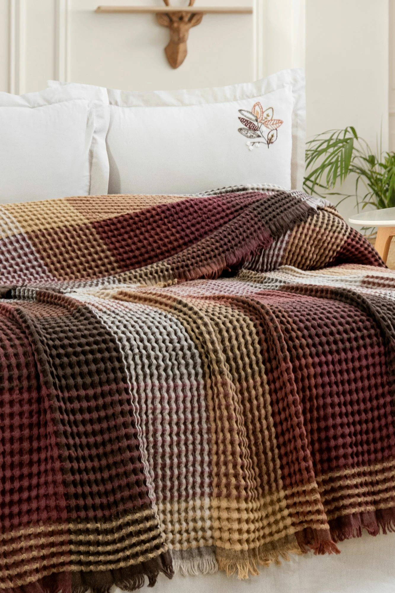 Set piké dopio Floransa, ngjyrë ecru