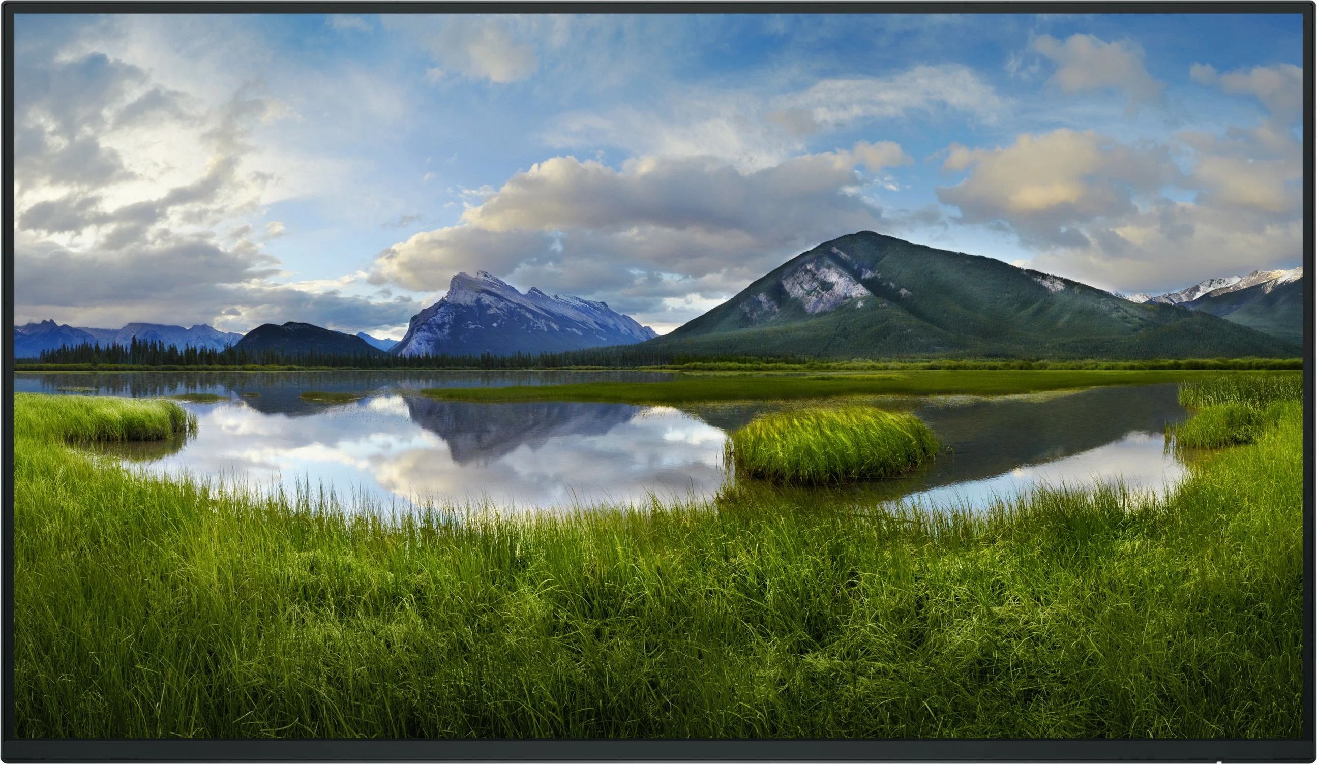 Monitor DELL P Series P2725H_WOST, 27 inç, Full HD, LCD, i zi