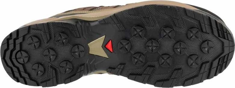 Atlete për meshkuj Salomon, bezhë