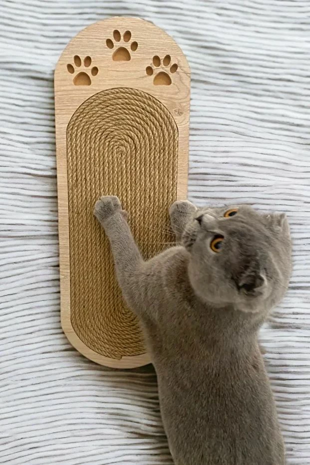Dru për gërvishtje për mace, ngjyrë bezhë dhe lisi, Paws & Whiskers, Albero Patili, 19x51x1.8cm
