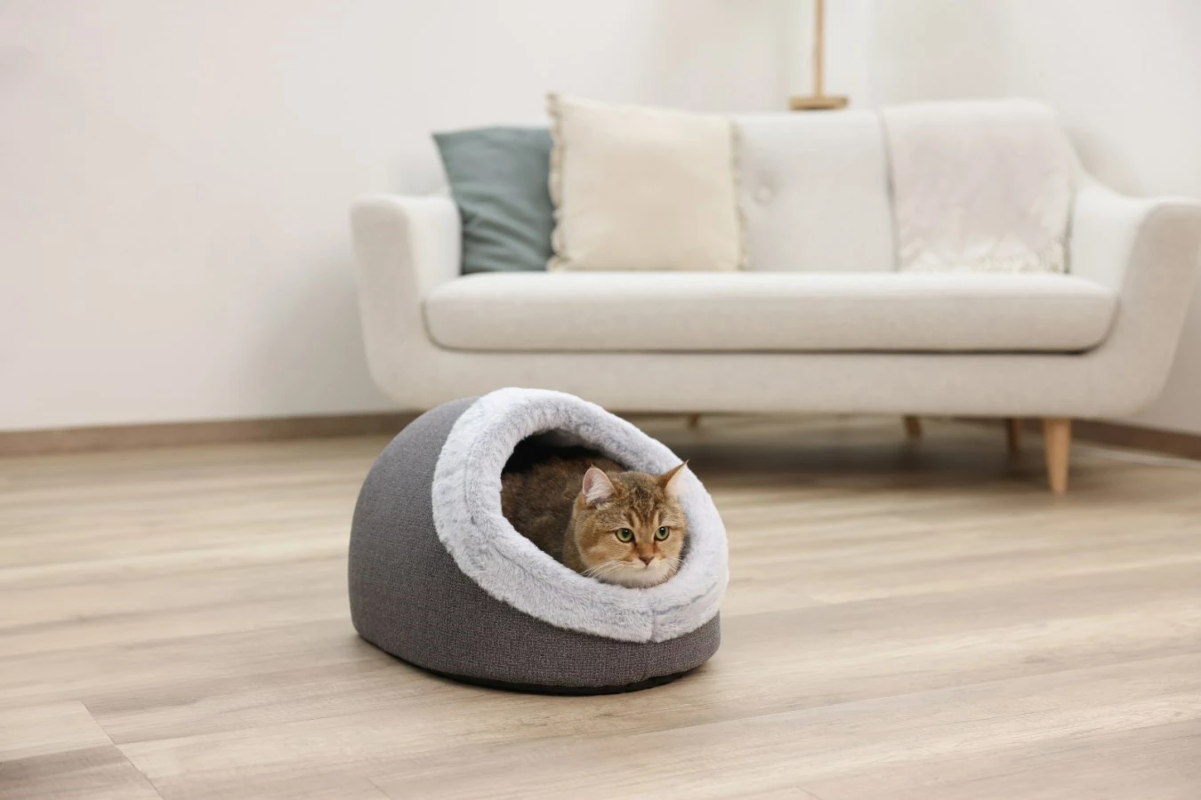 Shtrat për kafshë KERBL Jana Cave, Gri