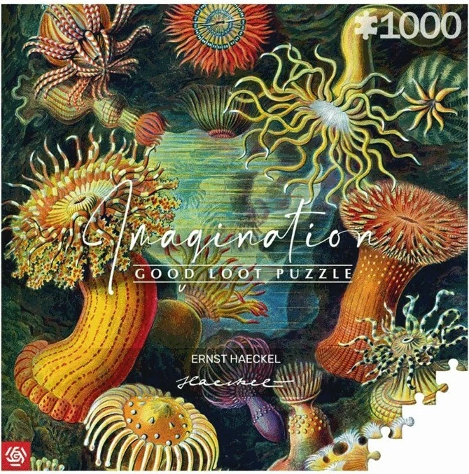 Puzzle Cenega Publishing Imagination, 1000 elemente, Shumëngjyrësh