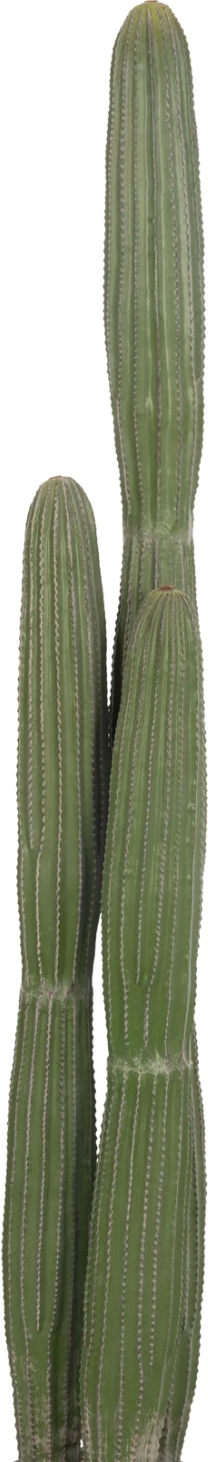 Bimë dekorative sintetike në vazo, lloj kaktusi, FH4745, 17.5x144cm