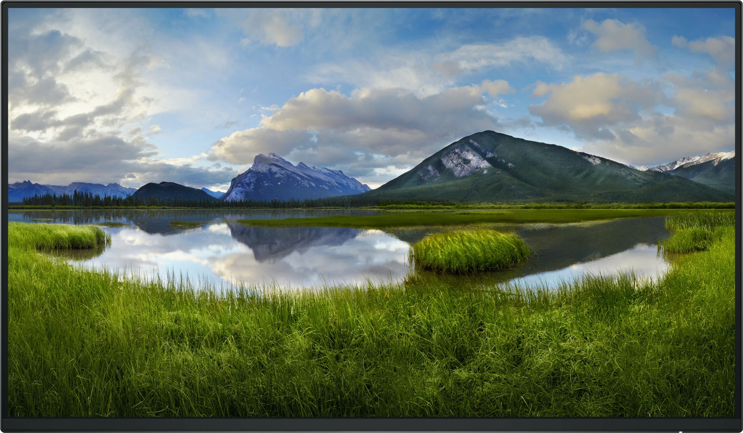 Monitor DELL P2425HE_WOST 24 inch Full HD LCD, i zi