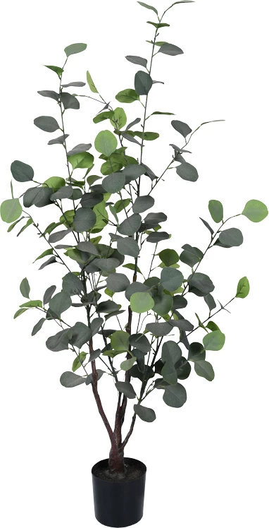 Bimë dekorative eukaliptusi në vazo, jeshile, Inart, H120cm, set prej 4 copash