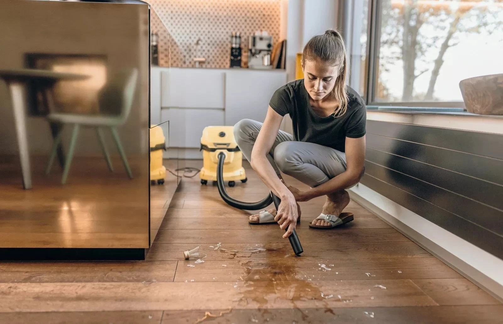 Aspirator për tharje dhe lagështi Kärcher WD 2 Plus V-12/4/18, 12 L, 1000 W, me qese pluhuri