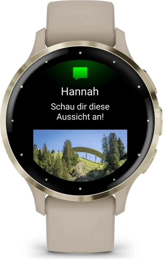 Smartwatch Garmin Venu 3S, 41 mm, AMOLED, GPS, Gri
