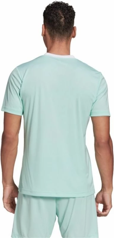 Maicë adidas për meshkuj, e gjelbër